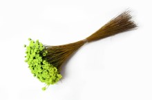 Dried Glixia Apple Green