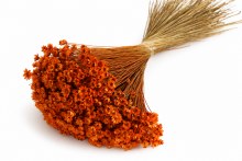 Dried Glixia Orange