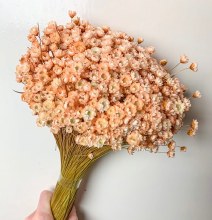 Dried Glixia Peach 100gr