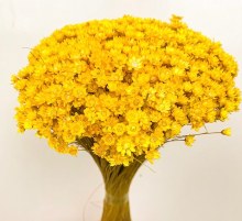 Dried Glixia Yellow 100g