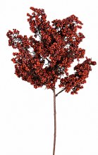 Holly Berry Fruit Stem Rust 37cm
