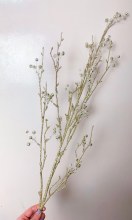 Champagne Glitter Stem 100cm