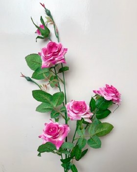 Pink beauty rose stem x 4 roses Pink beauty rose stem x 4 roses