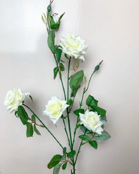 Single stem ivory rose flower height 80cm Single stem ivory rose flower height 80cm