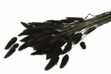 Lagurus Bundle Black/Grey 50gr