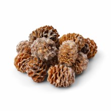 Larch Cones 500g Natural