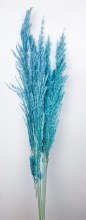 Pampas Eryanthus Aqua 115cm x 5