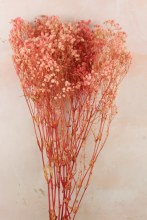 Preserved Gypsophelia 80cm Pale Pink & White Mix