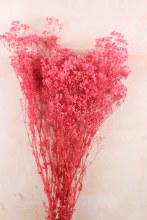 Preserved Gypsophelia 80cm Bunch Hot Pink
