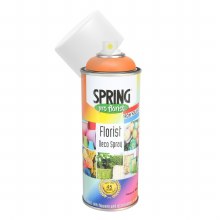 Florist Spary Paint Pumpkin 400ml