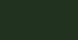 Florist Spray Paint Moss Green 400ml