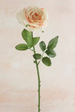 Faux Single Stem Rose Cream/Peach 63cm