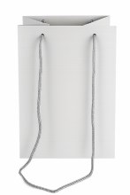Florist Bag  Silver x 10