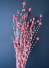 Dried Strawberry Thistle Pink 100gr