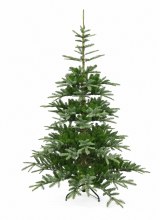 Faux Christmas Tree Large 210cm