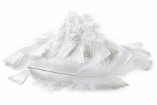 White Small fluff feathers 10g