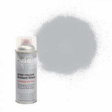 Additional picture of Brilliant silver Oasis florist spray paint