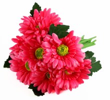 Additional picture of Artificial Gerbera Bunch Dark Pink x 12
