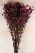 Additional picture of Dried Statice 120g Lilac