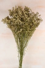 Additional picture of Dried Statice 120g White Natural