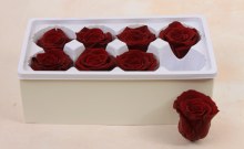 Additional picture of Preserved Roses( Box of 8) 6cm Burgundy
