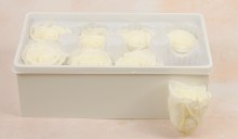 Additional picture of Preserved Roses( Box of 8) 6cm Cream