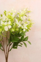 Additional picture of Artificial Spingleaf Bunch 38cm