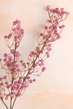 Additional picture of Artificial Baby's Breath Lilac 63cm- Gypsophelia Stem