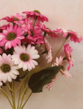 Additional picture of Artificial Daisy Bunch Hot Pink/Pale Pink- 30cm x 18 heads