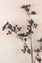 Additional picture of Artificial Navy Blue Berry Stem 80cm