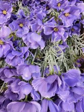 Additional picture of Artificial Cosmos Stem 60cm Blue- Faux Flower Spray( 6 Heads, Flocked stem)