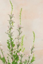 Additional picture of Artificial Blossom Stem 82cm Pale Pink