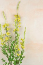 Additional picture of Artificial Blossom Stem 82cm Yellow