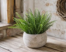 Additional picture of Artificial Persian Grass Bunch 5 Stems 40cm