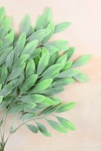 Additional picture of Artificial Money Leaf Bunch Green