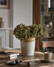 Additional picture of Preserved Hydrangea Basil 15cm