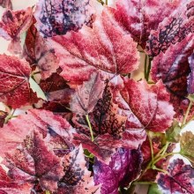 Additional picture of Artificial Ivy Bundle