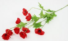 Additional picture of Artificial Poppy Stem Red 80cm