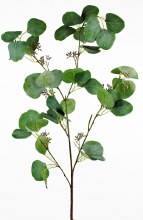 Additional picture of Artificial Eucalyptus Stem 114cm