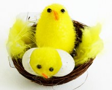Additional picture of Easter Chick Decorations x 12pcs