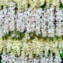 Additional picture of Artificial Hanging Wisteria/ Orchid 110cm