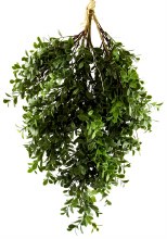 Additional picture of Artificial Boxwood Teardrop 24"