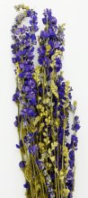 Additional picture of Delphinium Dried Blue