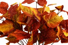 Additional picture of Artificial Autumn Grape Leaves Bunch 40cm x 14 stems