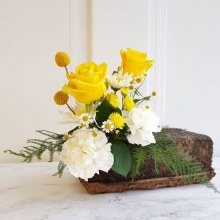 Additional picture of FibreFloral Eco Floral Foam Brick in Tray x 2