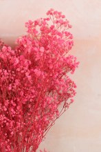 Additional picture of Preserved Gypsophelia 80cm Bunch Hot Pink