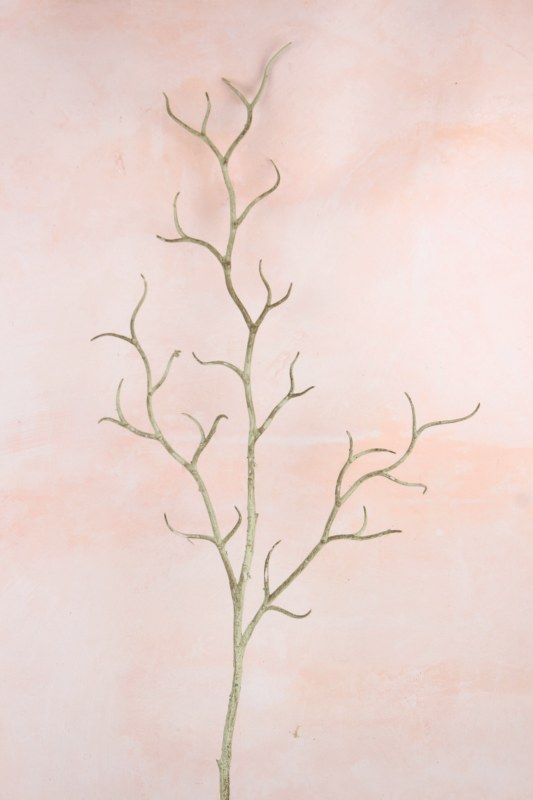 Picture of TWIG STEM 30"