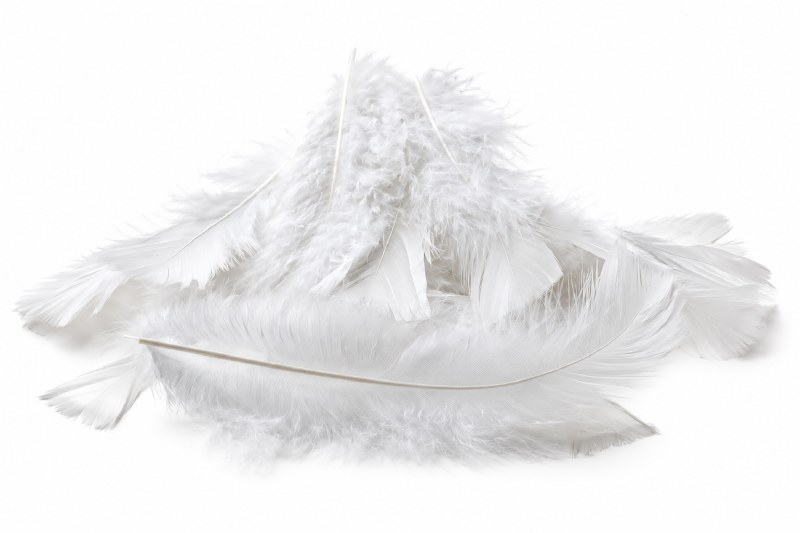 White Small fluff feathers 10g