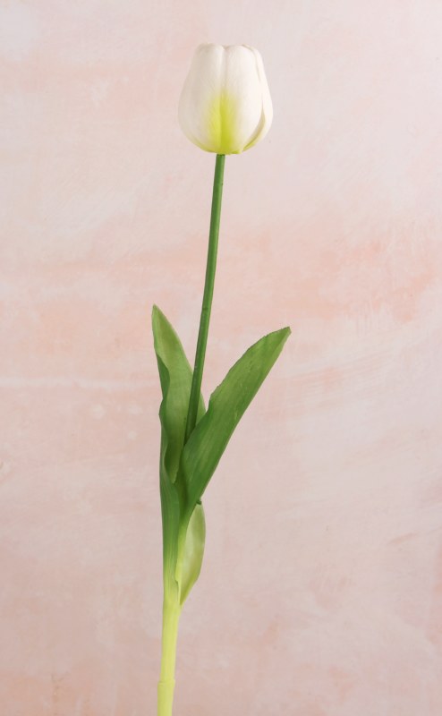 Picture of Artificial Tulip Stem 41cm Real Touch Ivory