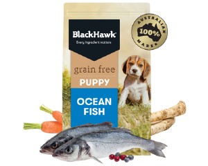 163083_BH_GF_PUPPY_OCEAN_FISH_15KG.jpg